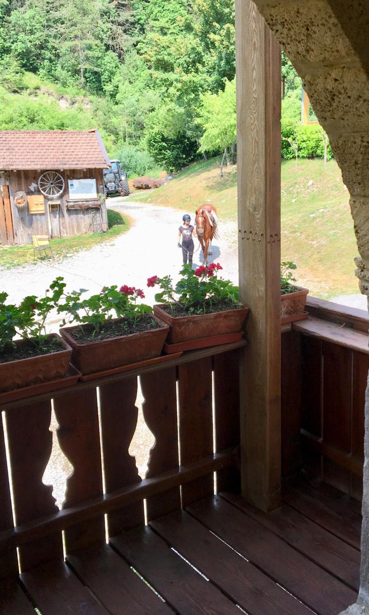 Agriturismo Randis Piano d'Arta Bagian luar foto
