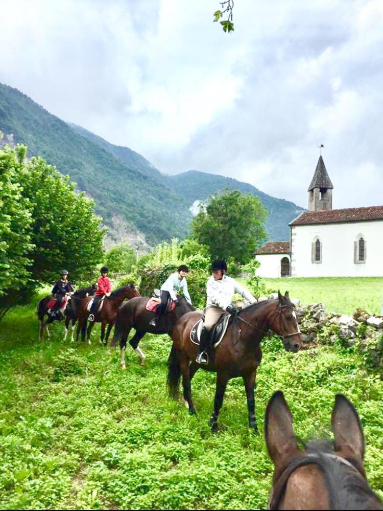 Agriturismo Randis Piano d'Arta Bagian luar foto